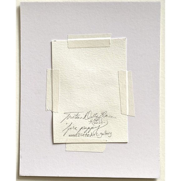 Fire Poppy - Original Wall Art Matted Flower Watercolor Painting 8x10in - Picture 5 of 5